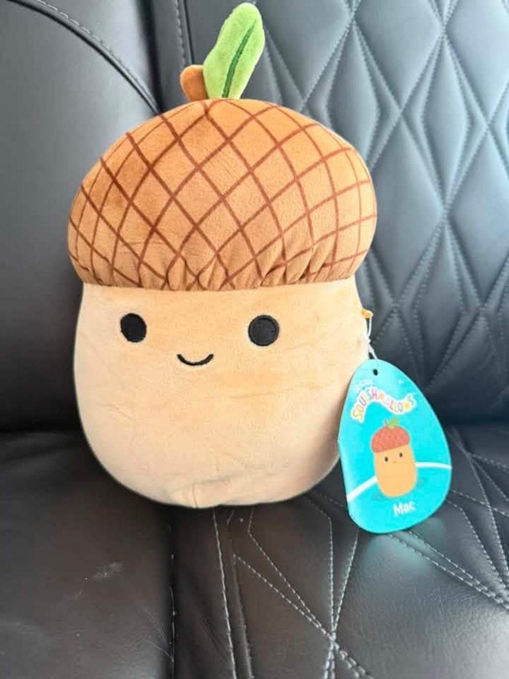 New fall squishmallow
